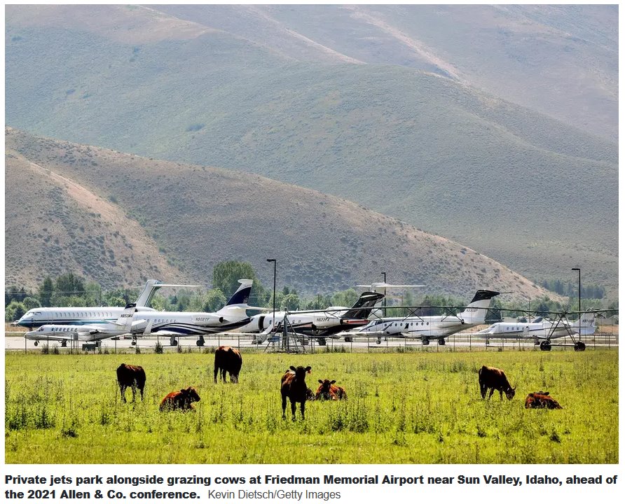 Sun Valley’s airport is so overrun with private jets arriving for ‘summer camp for billionaires’ that the FAA had to delay incoming planes